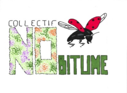 No Bitume